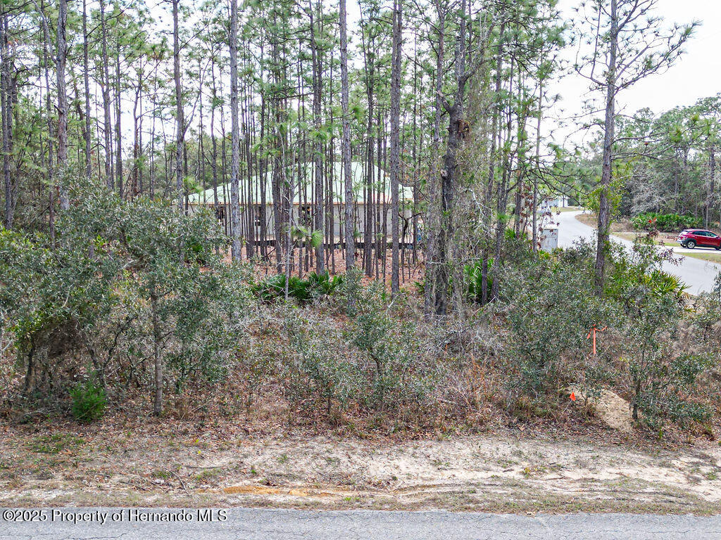 3 Speceberry Court, Homosassa, Florida image 7