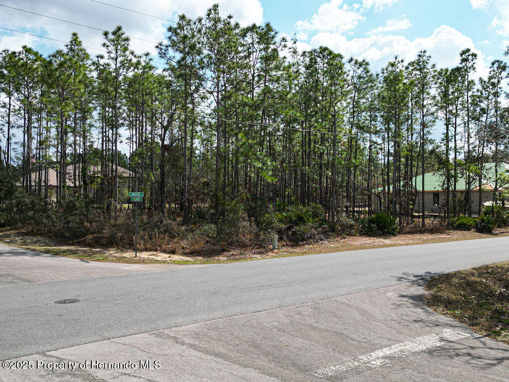 3 Speceberry Court, Homosassa, Florida image 4