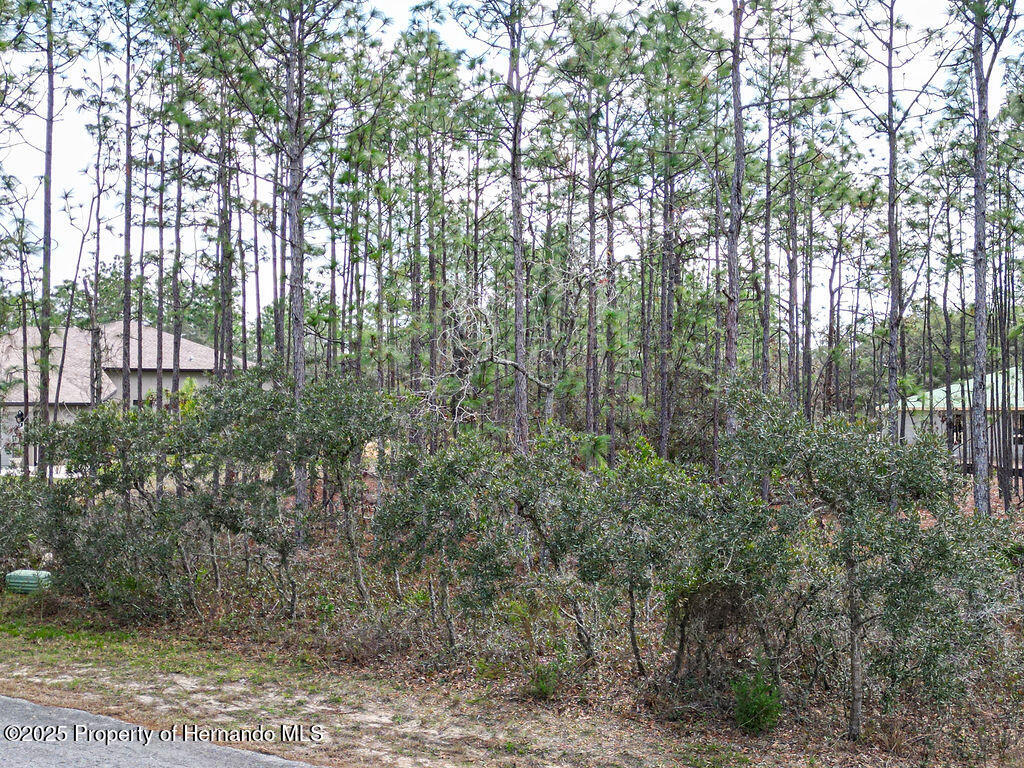 3 Speceberry Court, Homosassa, Florida image 6