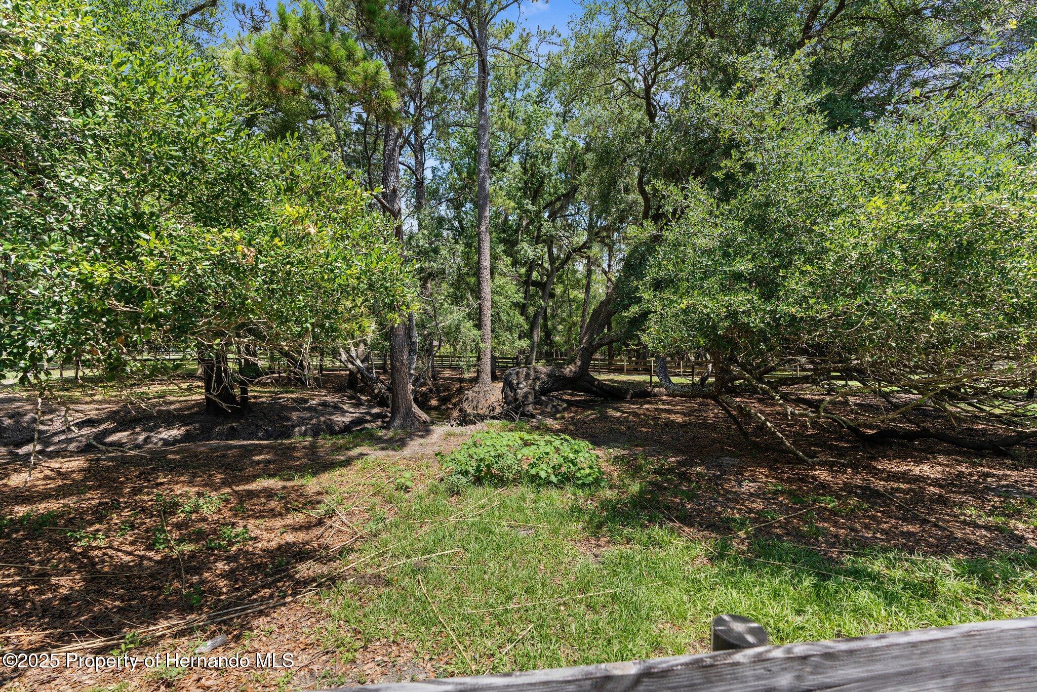 1253 Culbreath Road, Brooksville, Florida image 18
