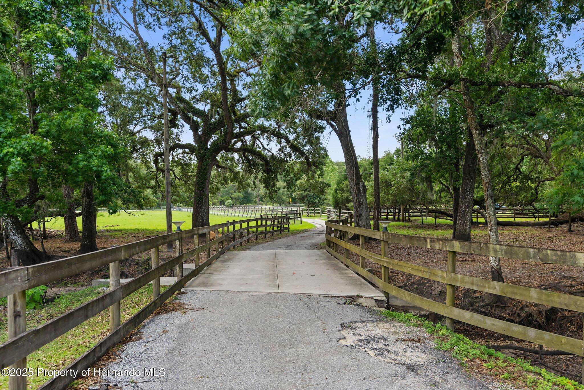 1253 Culbreath Road, Brooksville, Florida image 3