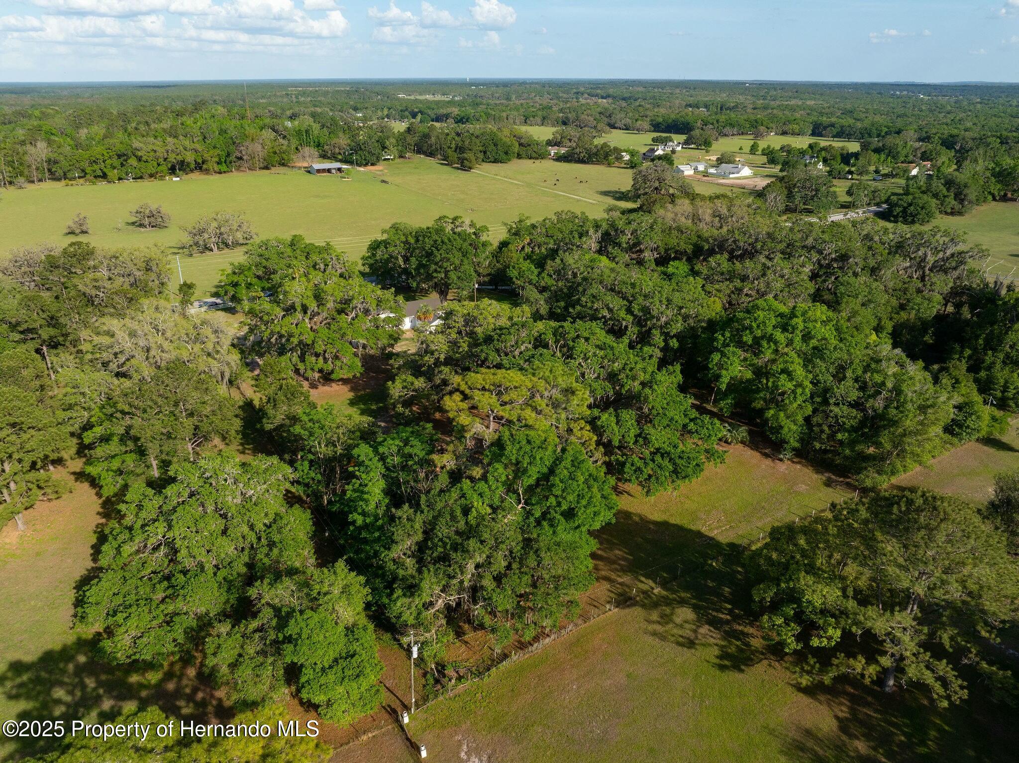 26384 Mondon Hill Road, Brooksville, Florida image 44