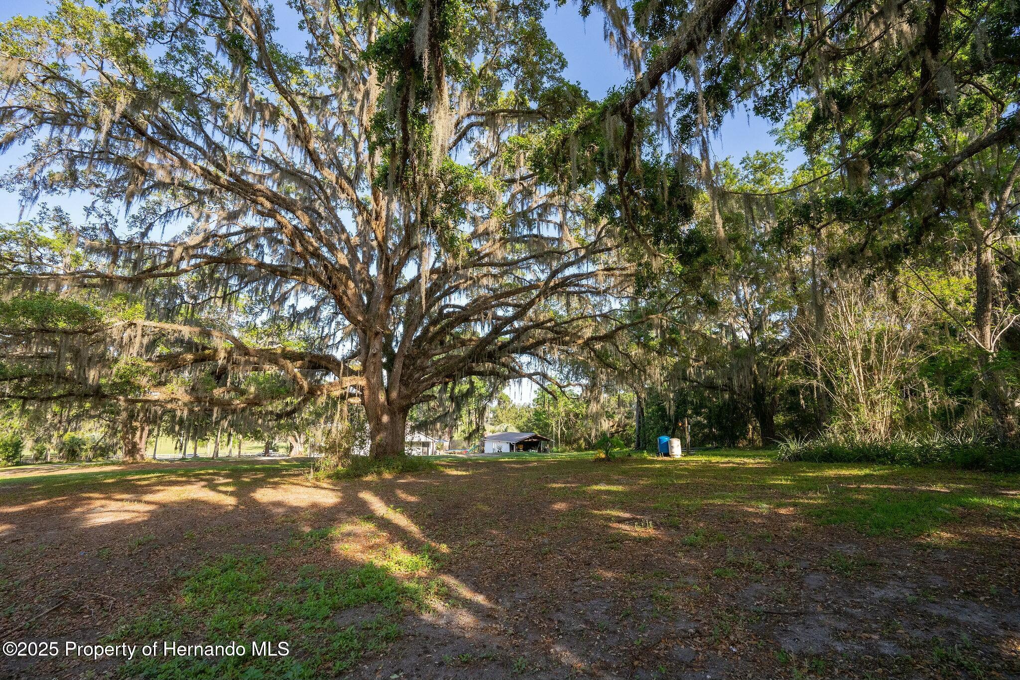 26384 Mondon Hill Road, Brooksville, Florida image 46