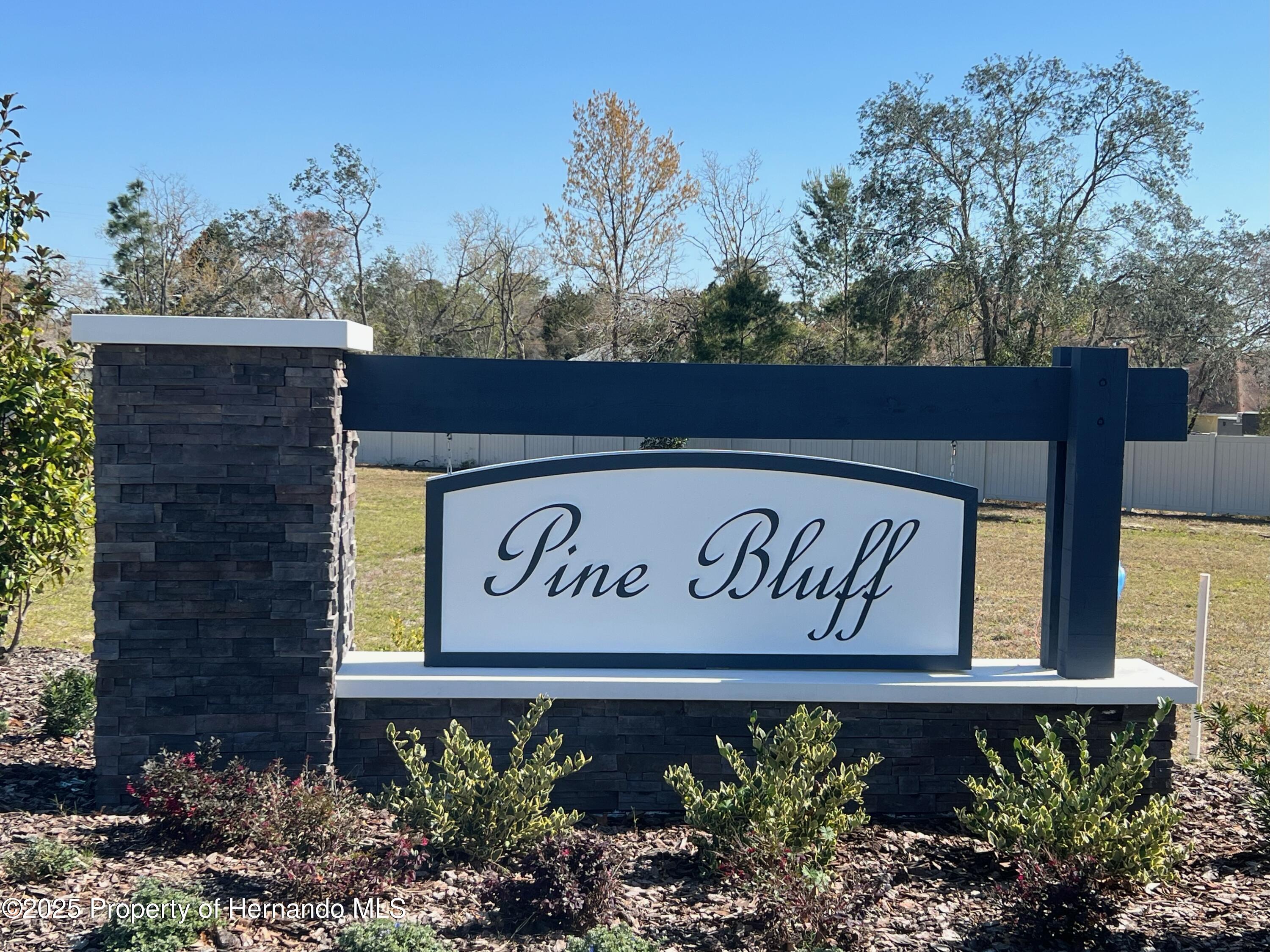 4869 Sutherland Street #LOT 55, Spring Hill, Florida image 3