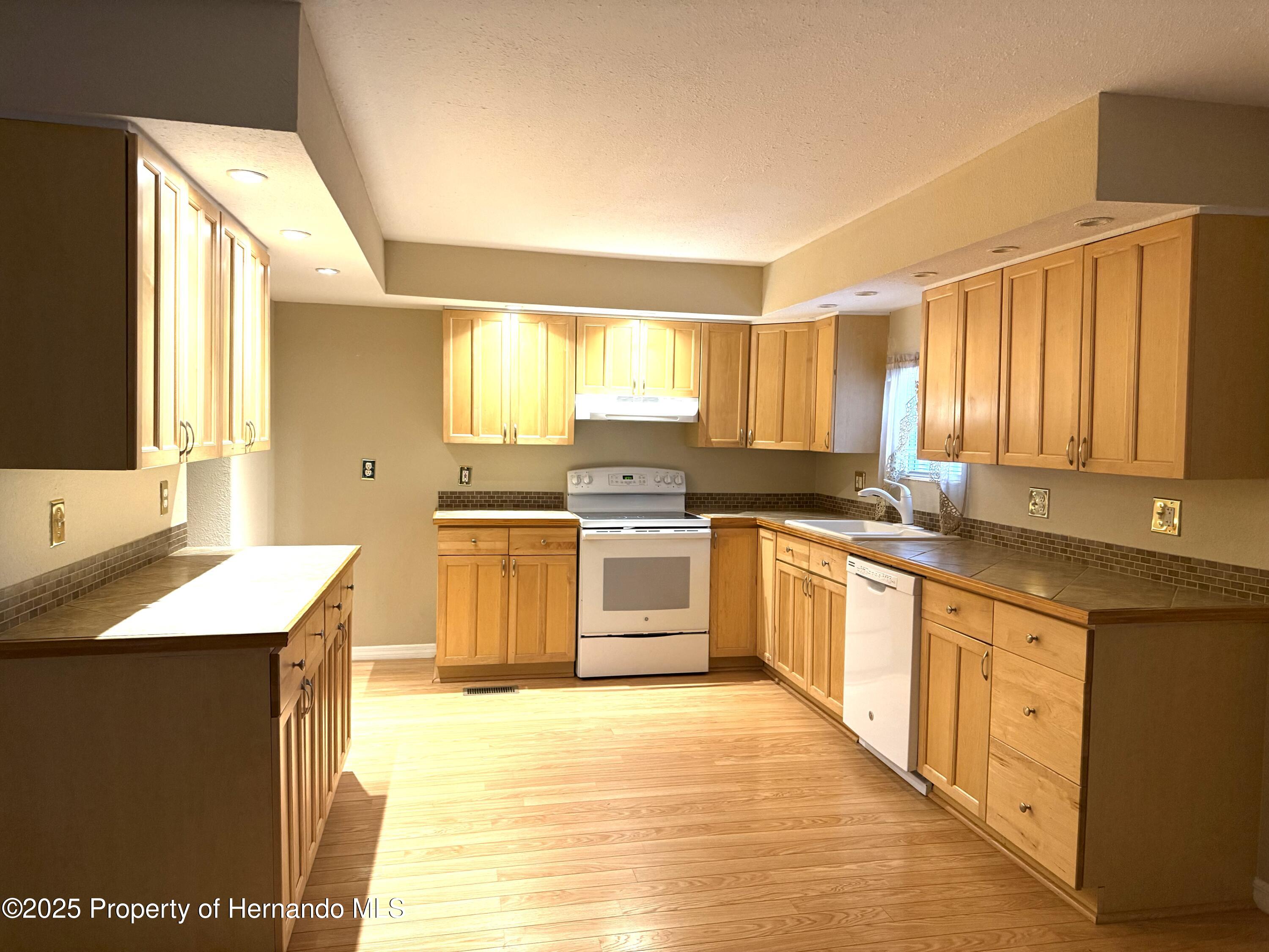 12077 Fairway Avenue, Brooksville, Florida image 9