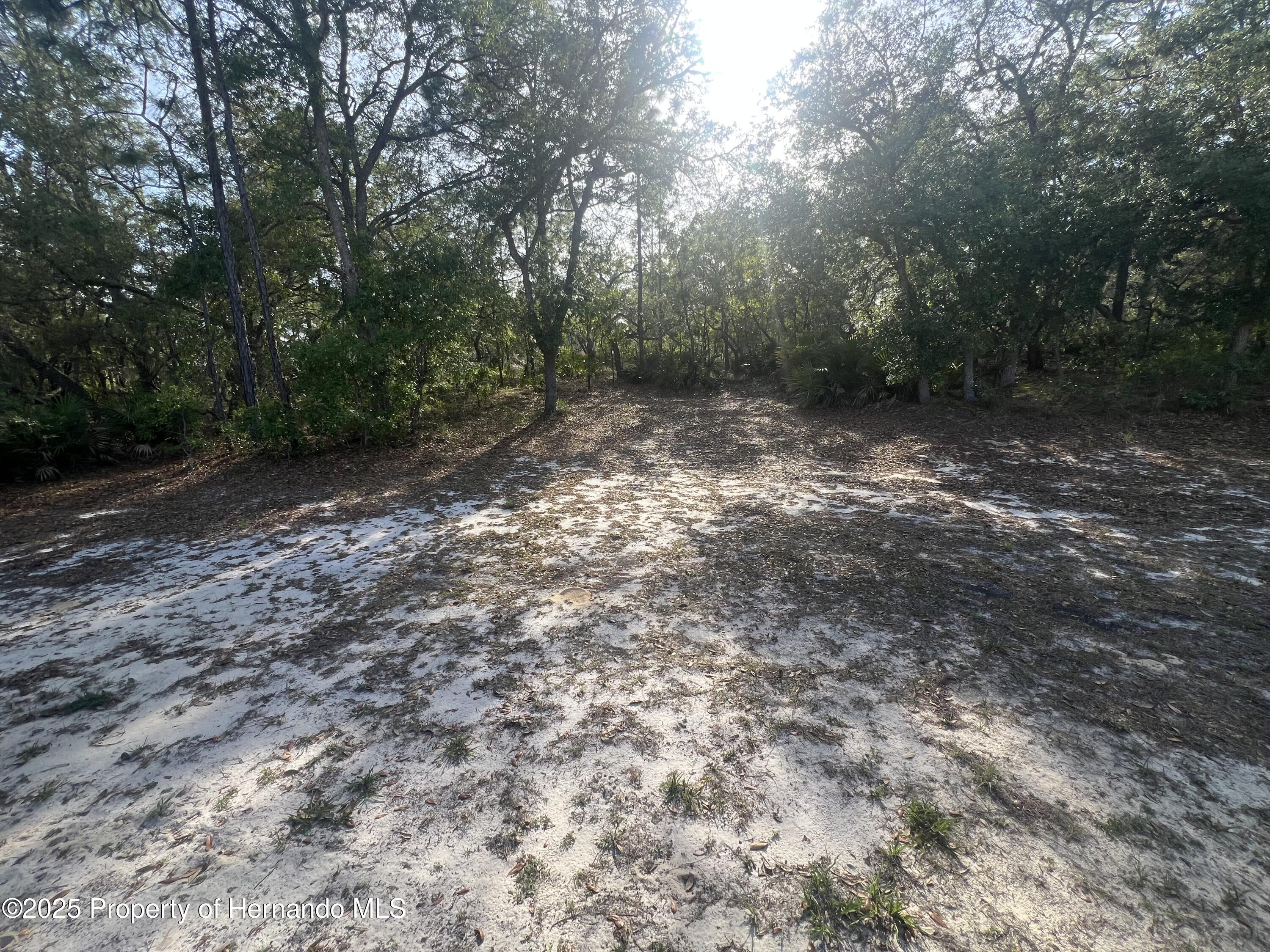 15297 Myland Road, Weeki Wachee, Florida image 28