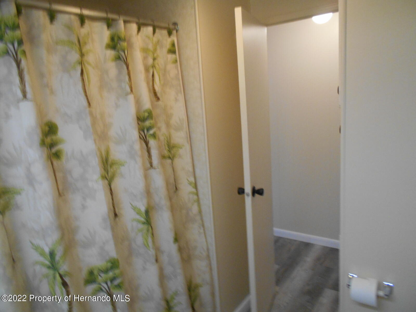 8123 Ridge Dale Avenue, Brooksville, Florida image 13