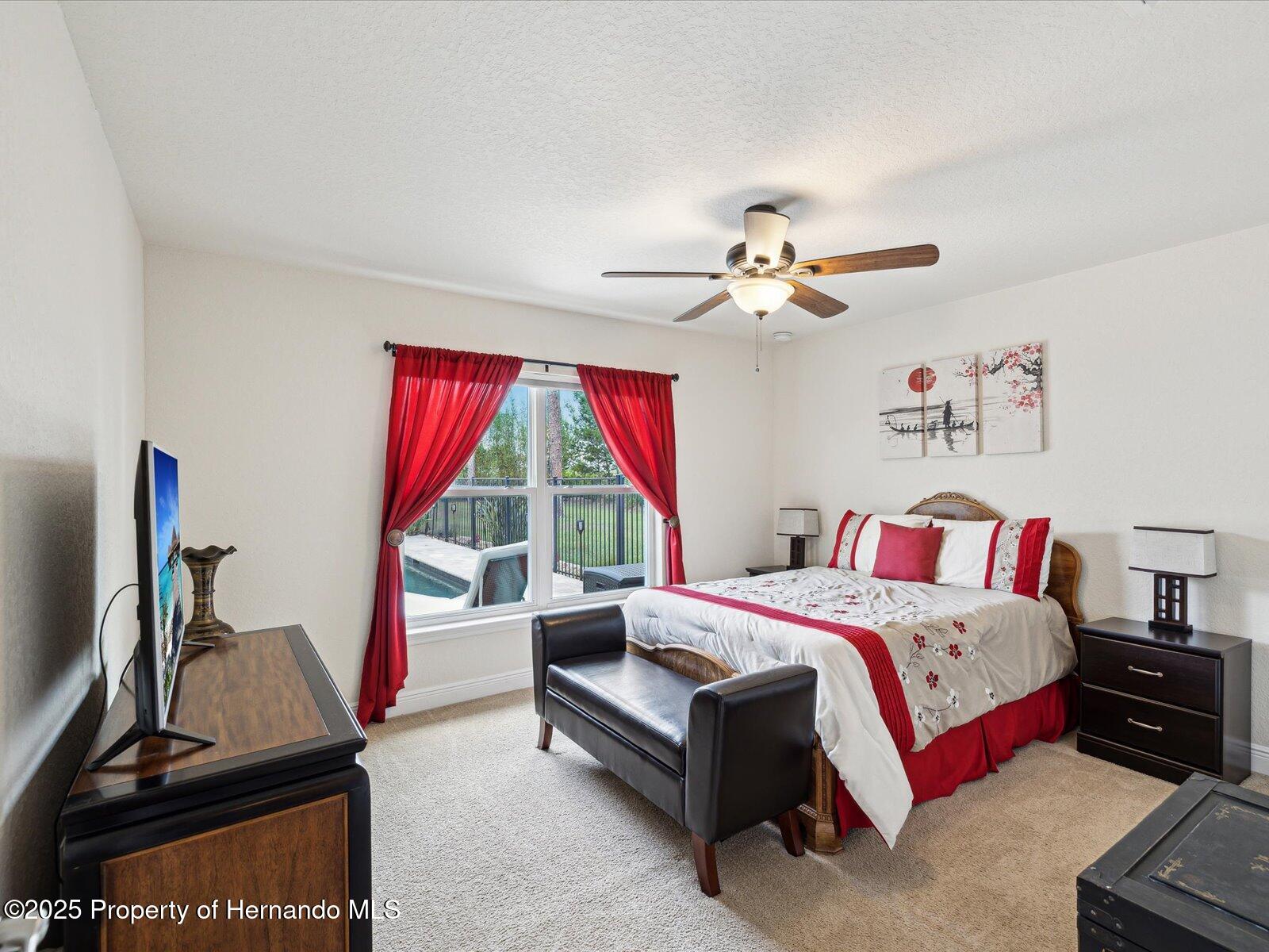 3455 Whispy Court, Spring Hill, Florida image 39