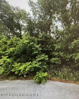 Prespare Court, Spring Hill, Florida image 1