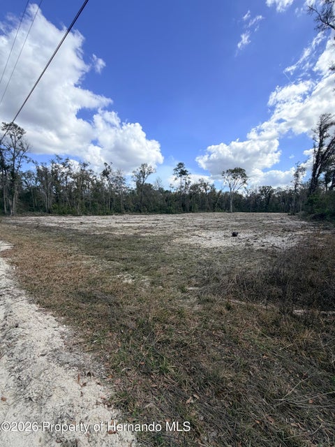 Vacant Land For Sale - 163 NE 159th Avenue<br/> Old Town, FL 32680
