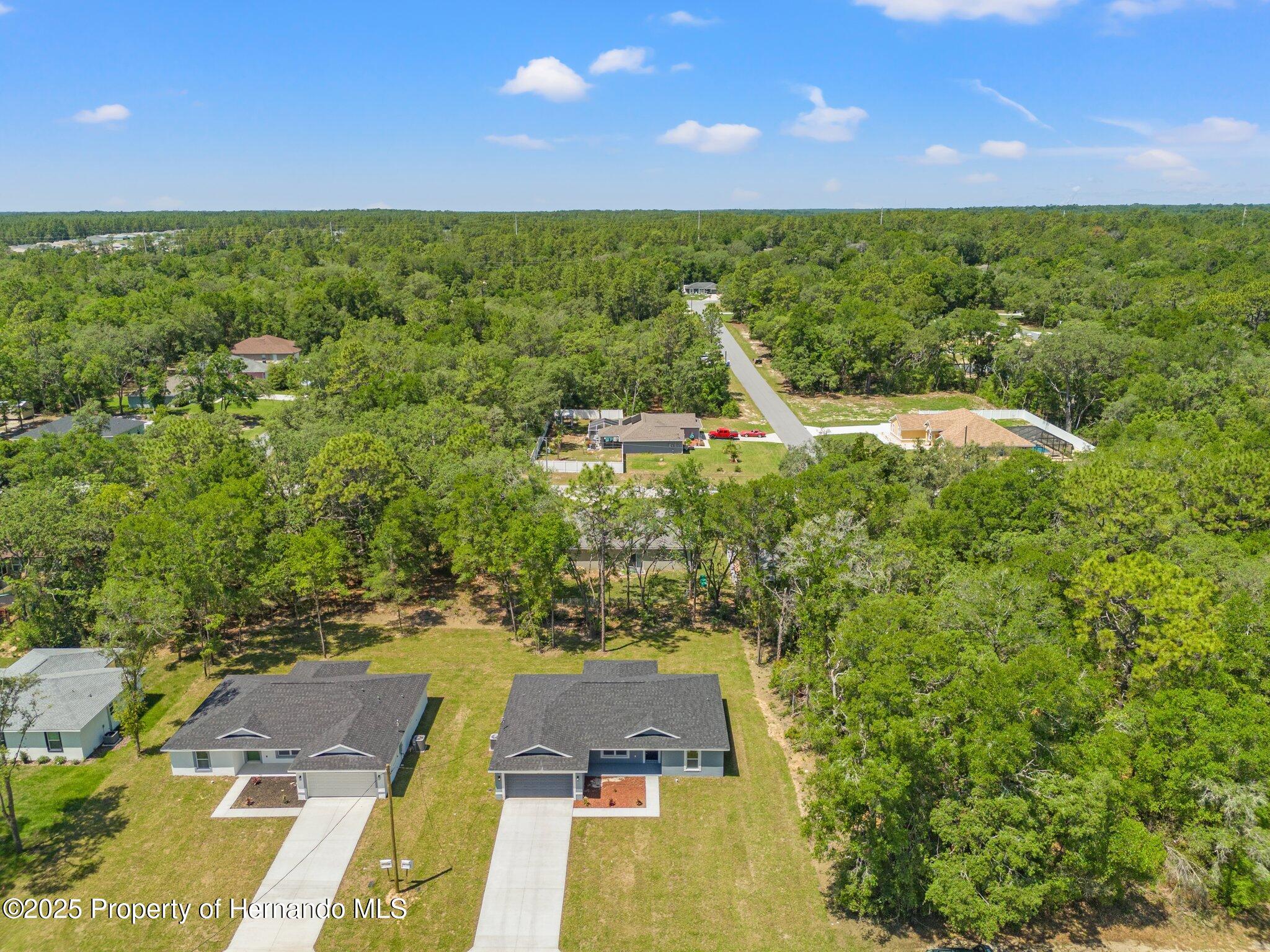 8792 N Sandree Drive, Dunnellon, Florida image 2