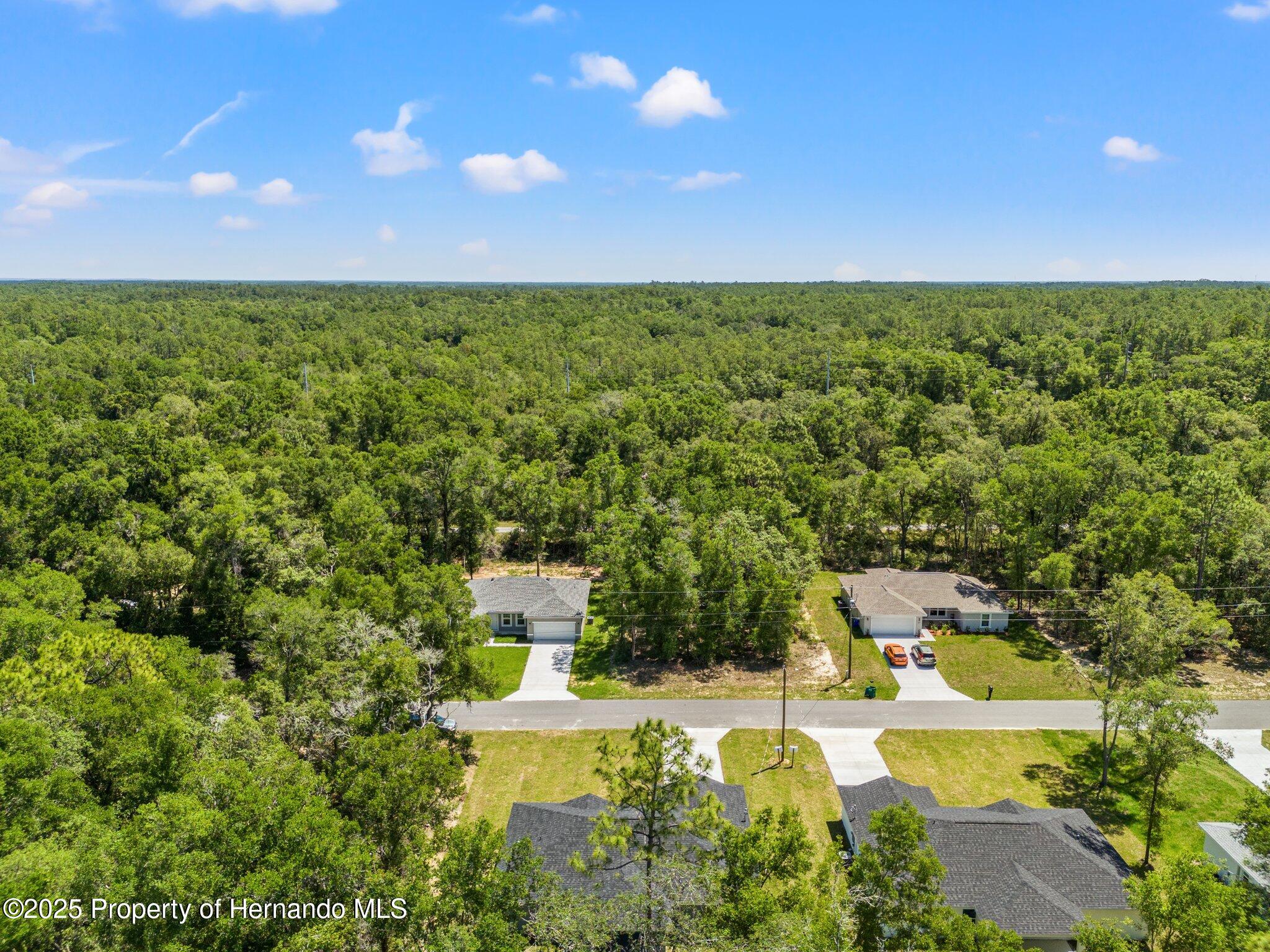 8792 N Sandree Drive, Dunnellon, Florida image 3