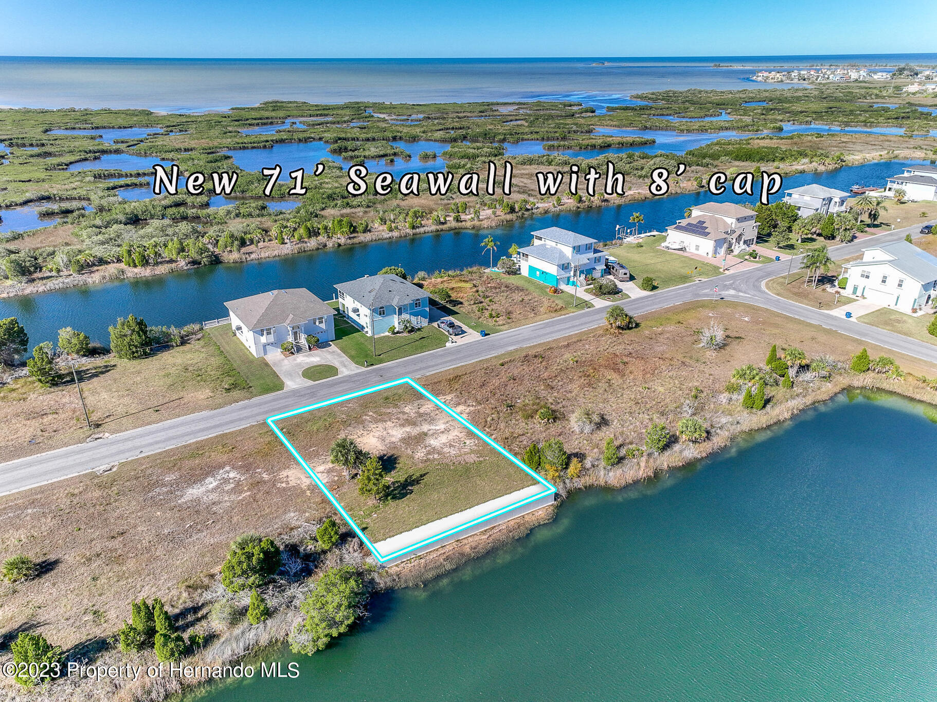 3266 Lugustrum Drive, HERNANDO BEACH, Florida image 3