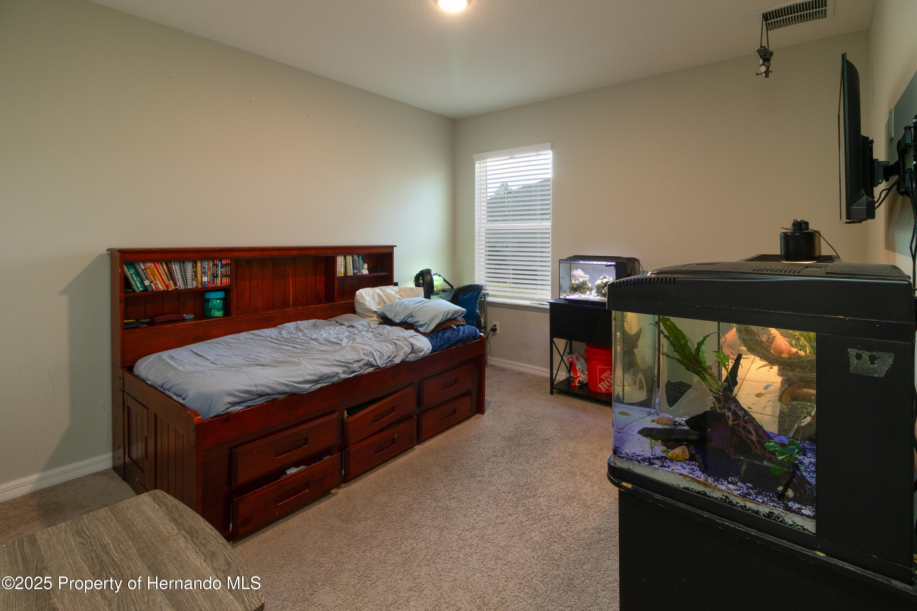 11134 Horned Owl Road, Weeki Wachee, Florida image 37