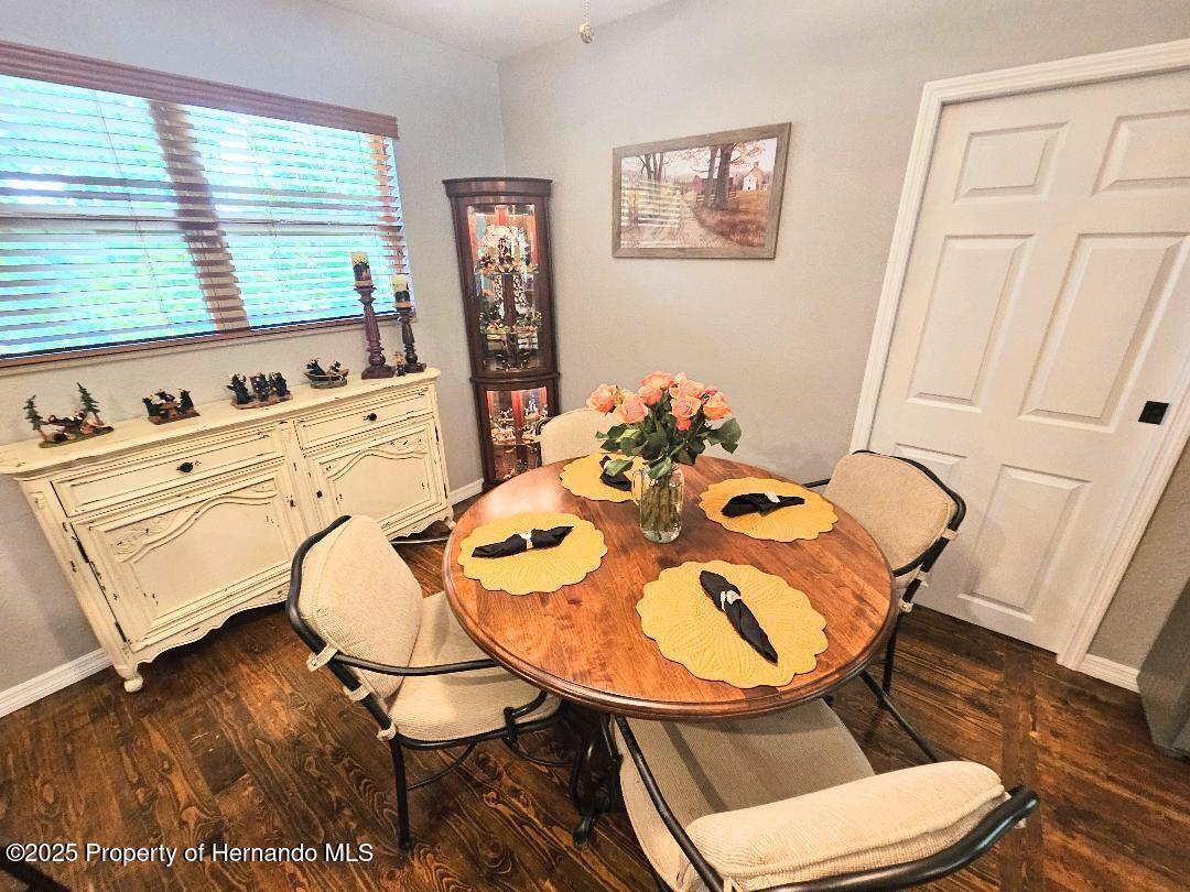 35031 Shale Street, Webster, Florida image 7
