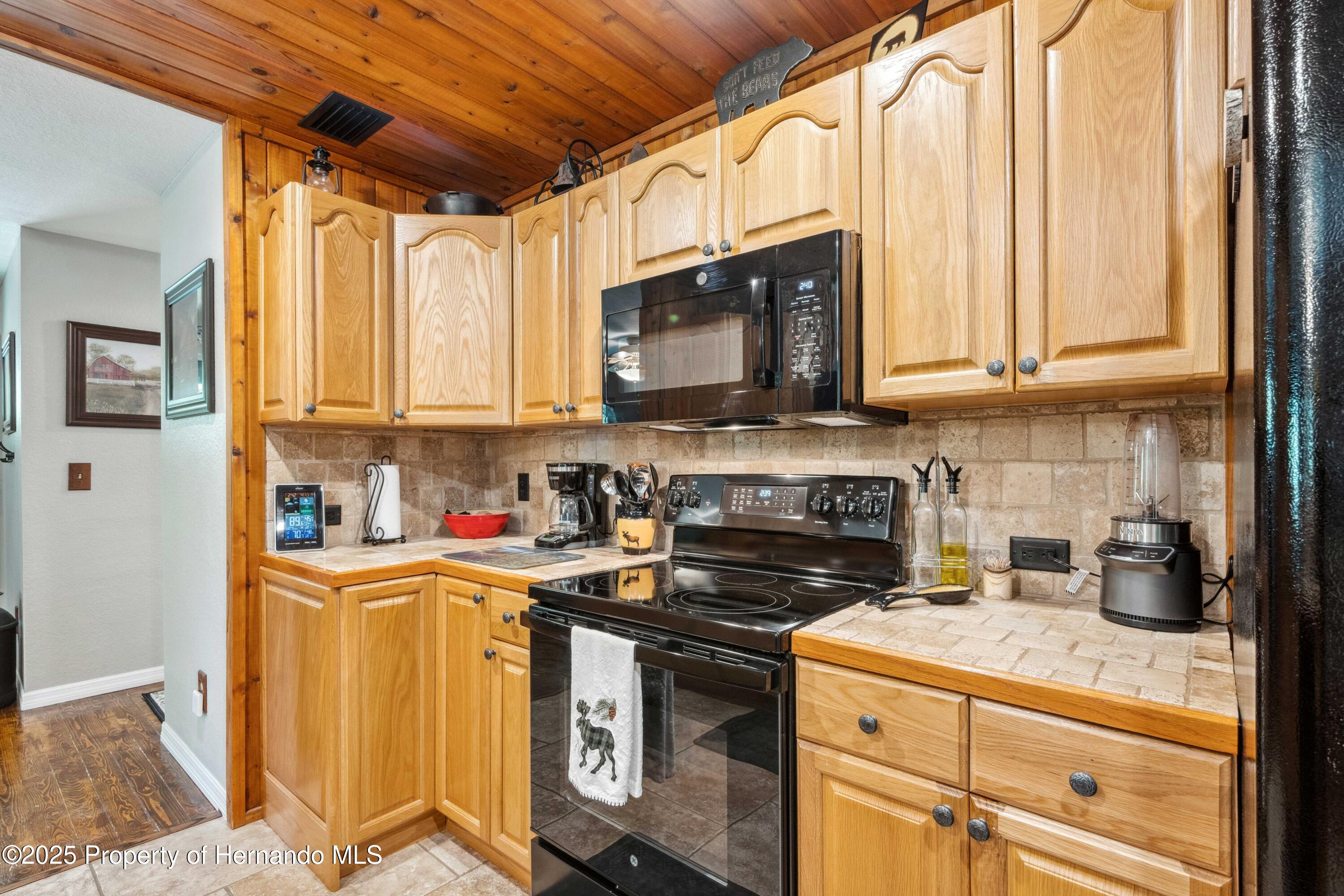 35031 Shale Street, Webster, Florida image 13