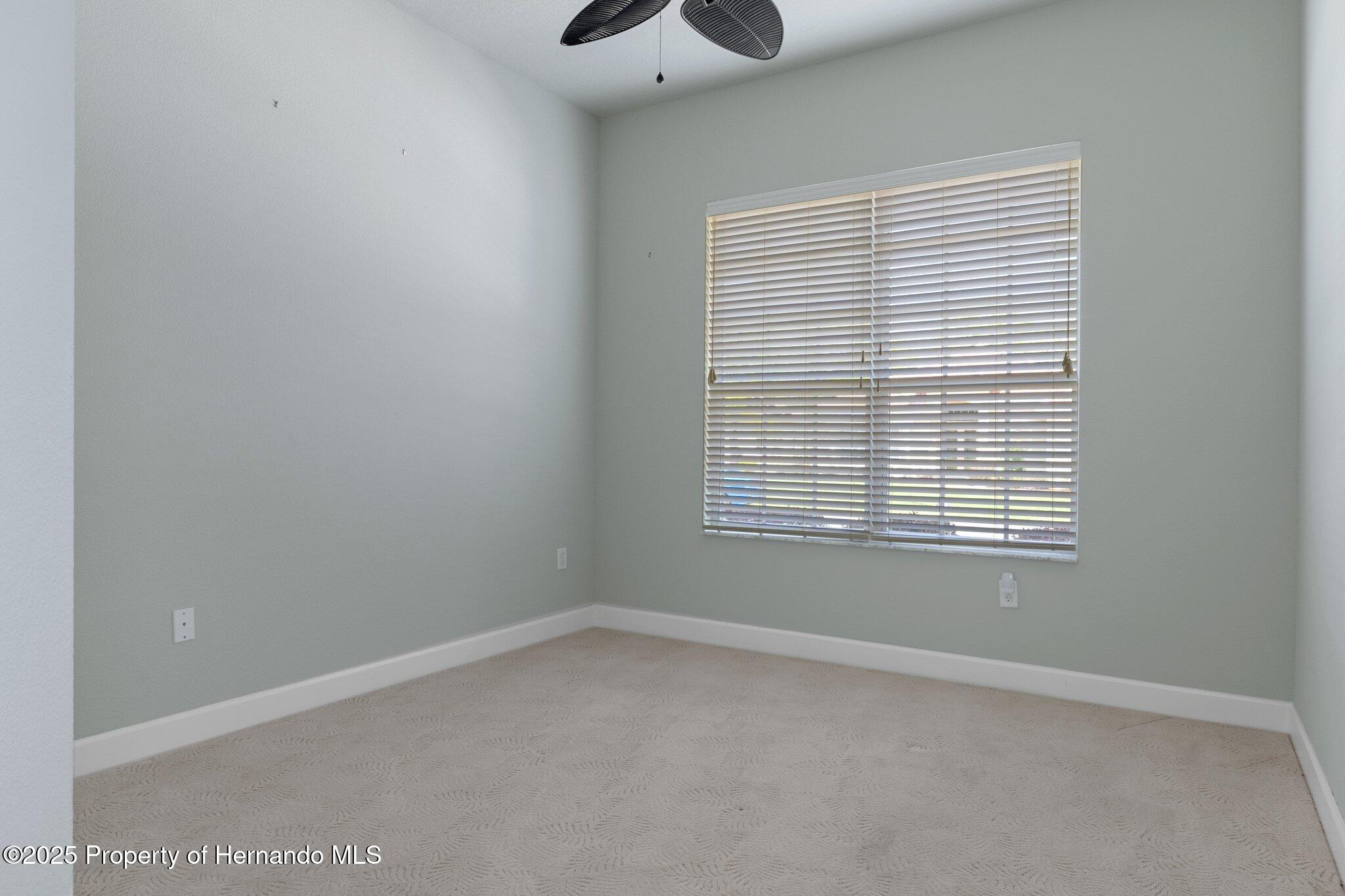 9154 Alexandria Drive, Weeki Wachee, Florida image 42