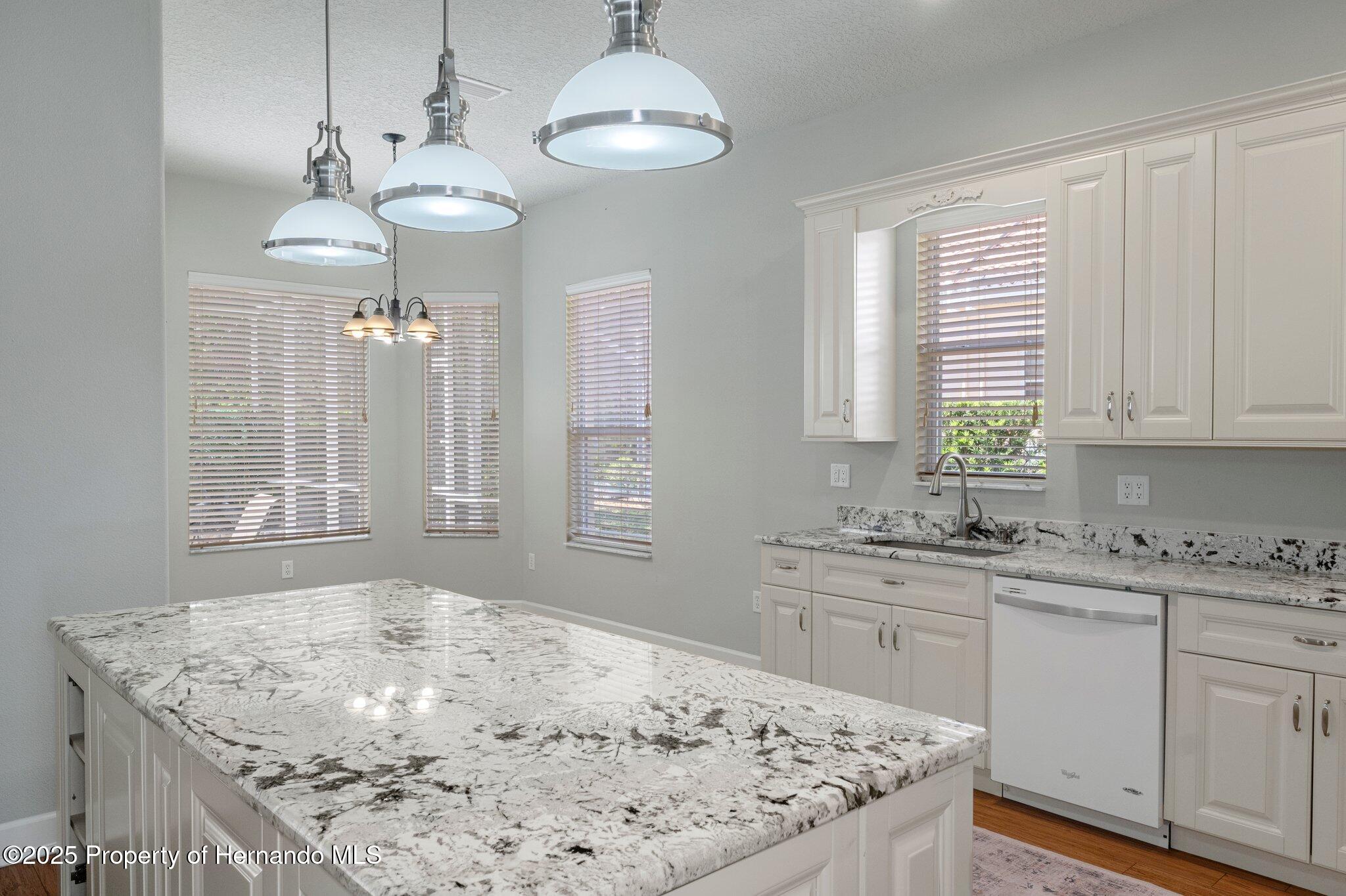 9154 Alexandria Drive, Weeki Wachee, Florida image 17