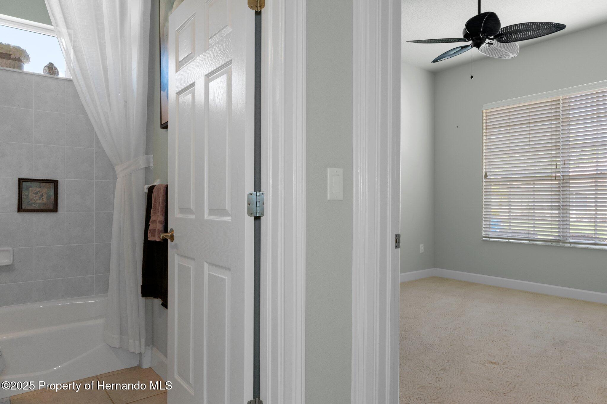 9154 Alexandria Drive, Weeki Wachee, Florida image 40