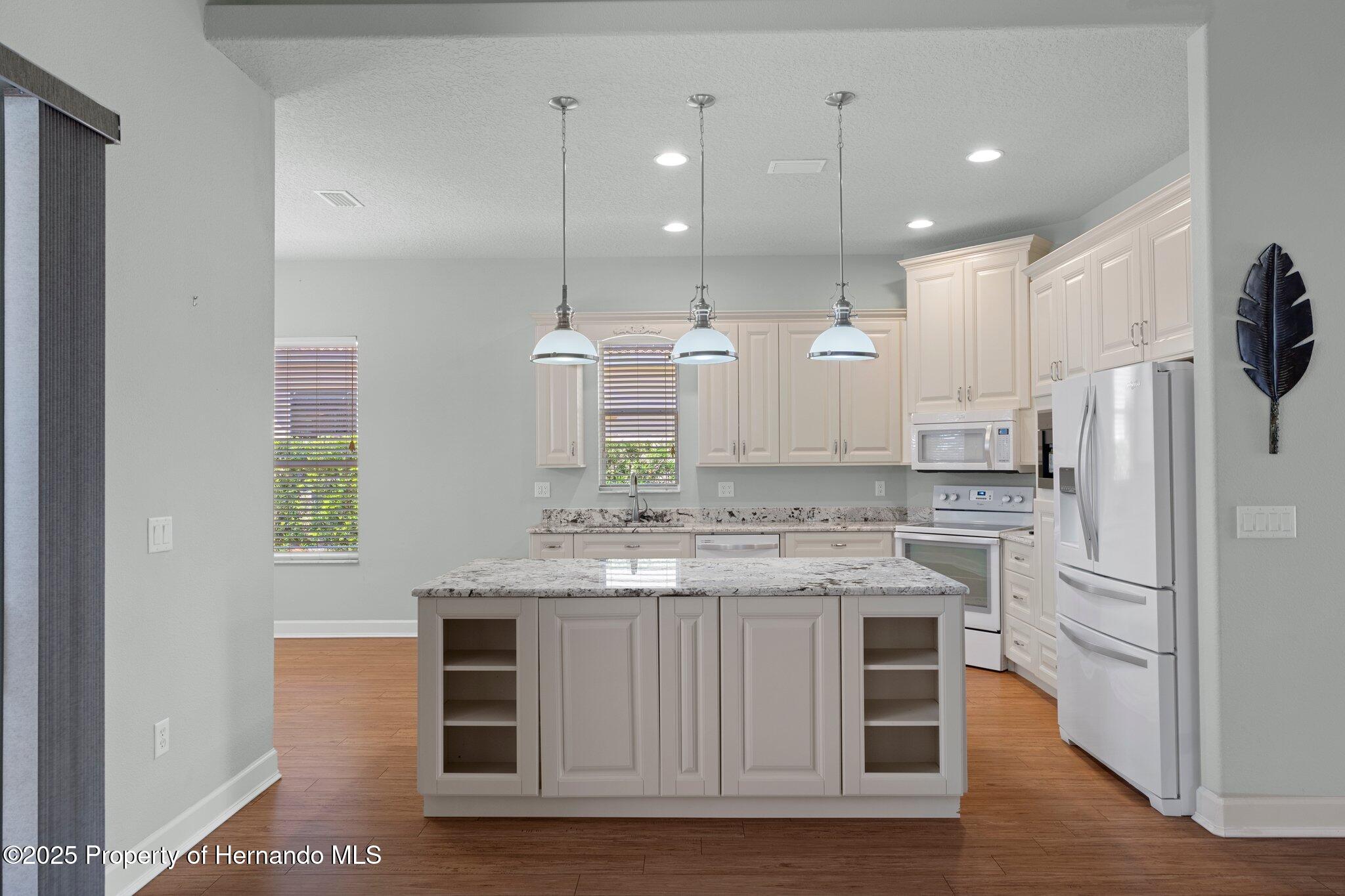 9154 Alexandria Drive, Weeki Wachee, Florida image 13