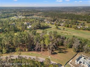 5963 Creek Ridge Road, Brooksville, Florida image 7