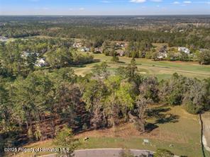 5963 Creek Ridge Road, Brooksville, Florida image 8