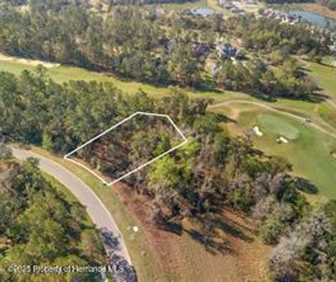 Vacant Land For Sale - 5963 Creek Ridge Road<br/> Brooksville, FL 34601