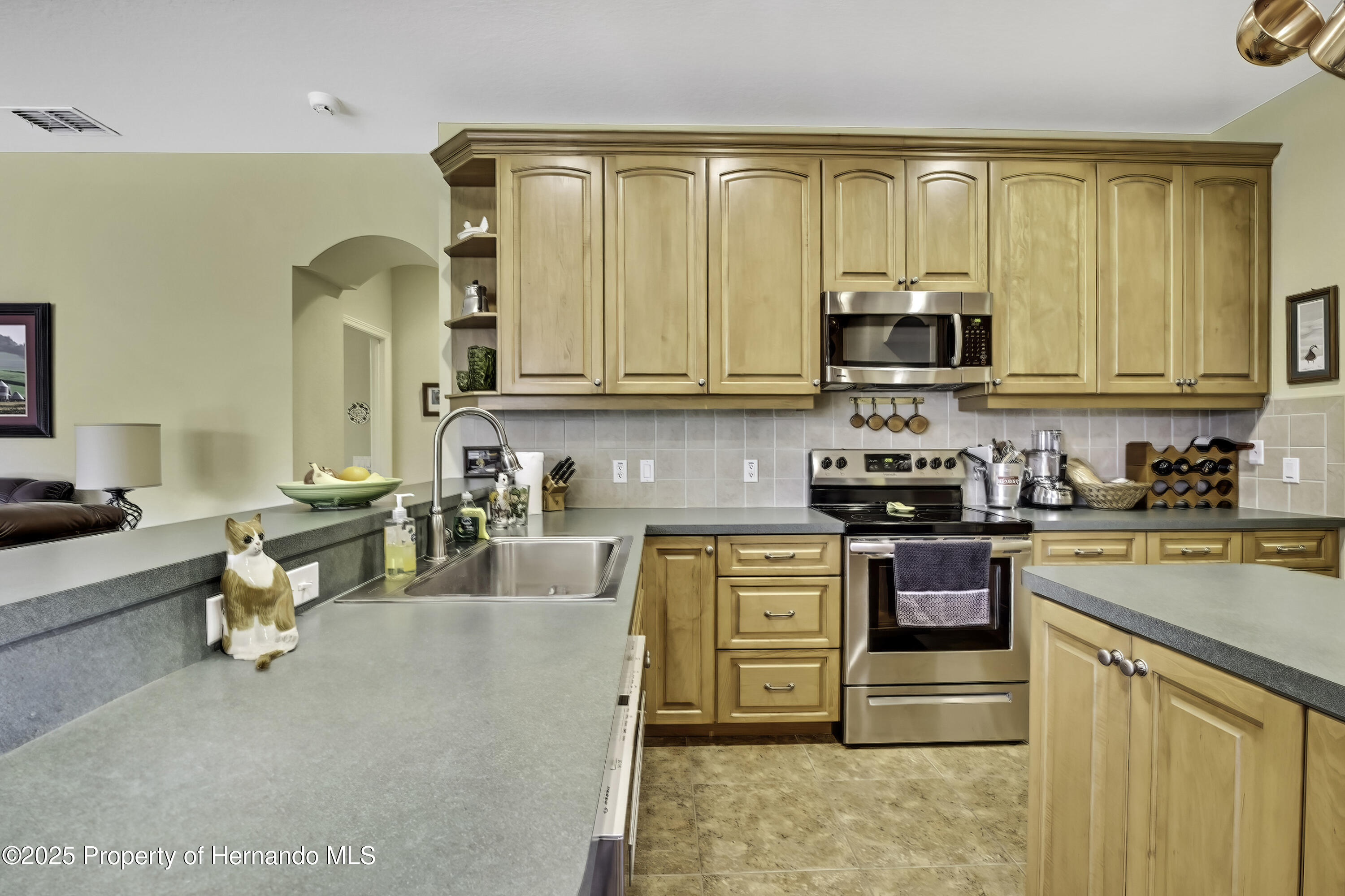 12012 Cromwell Way, Spring Hill, Florida image 11