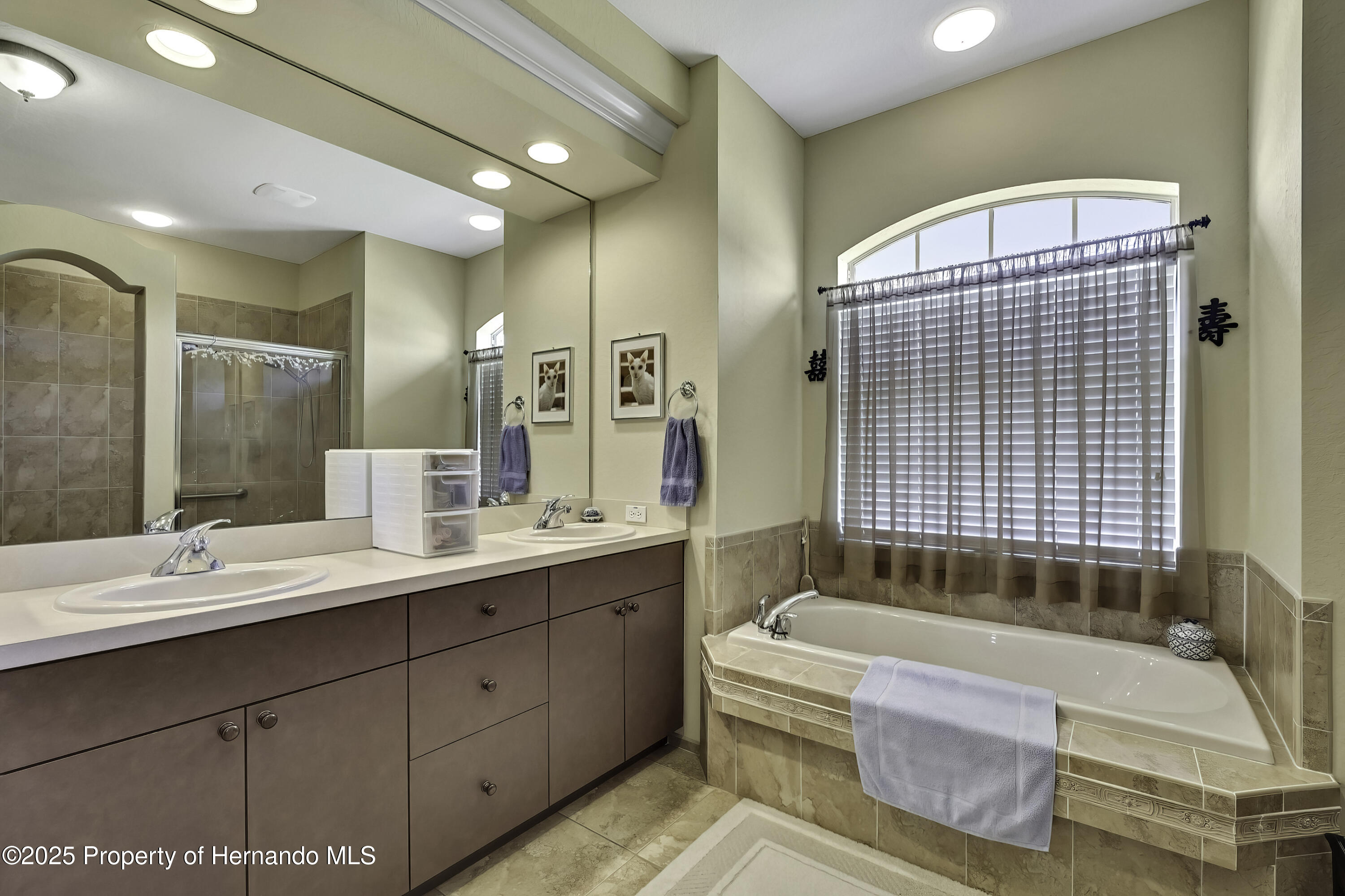 12012 Cromwell Way, Spring Hill, Florida image 21