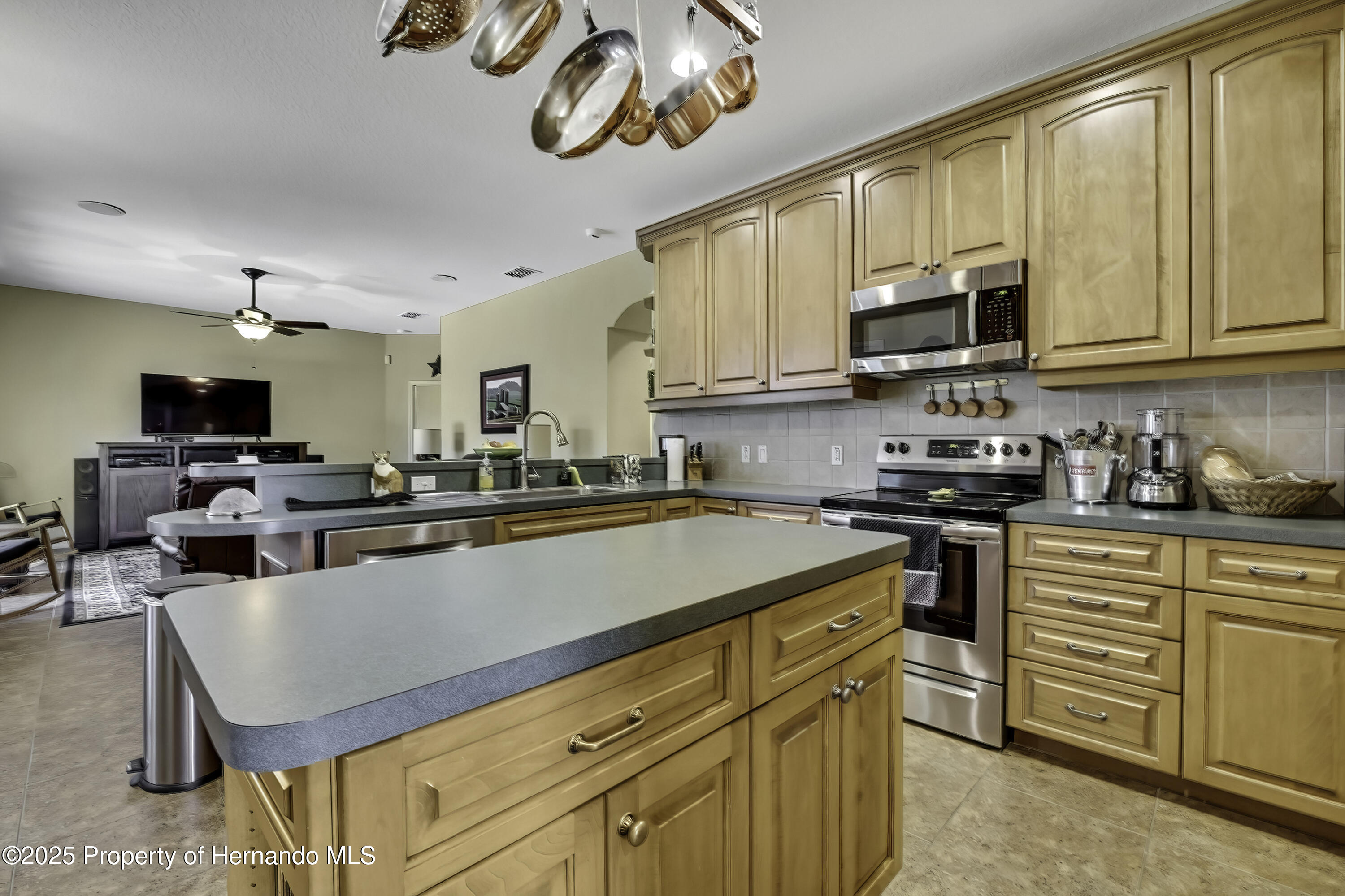 12012 Cromwell Way, Spring Hill, Florida image 8