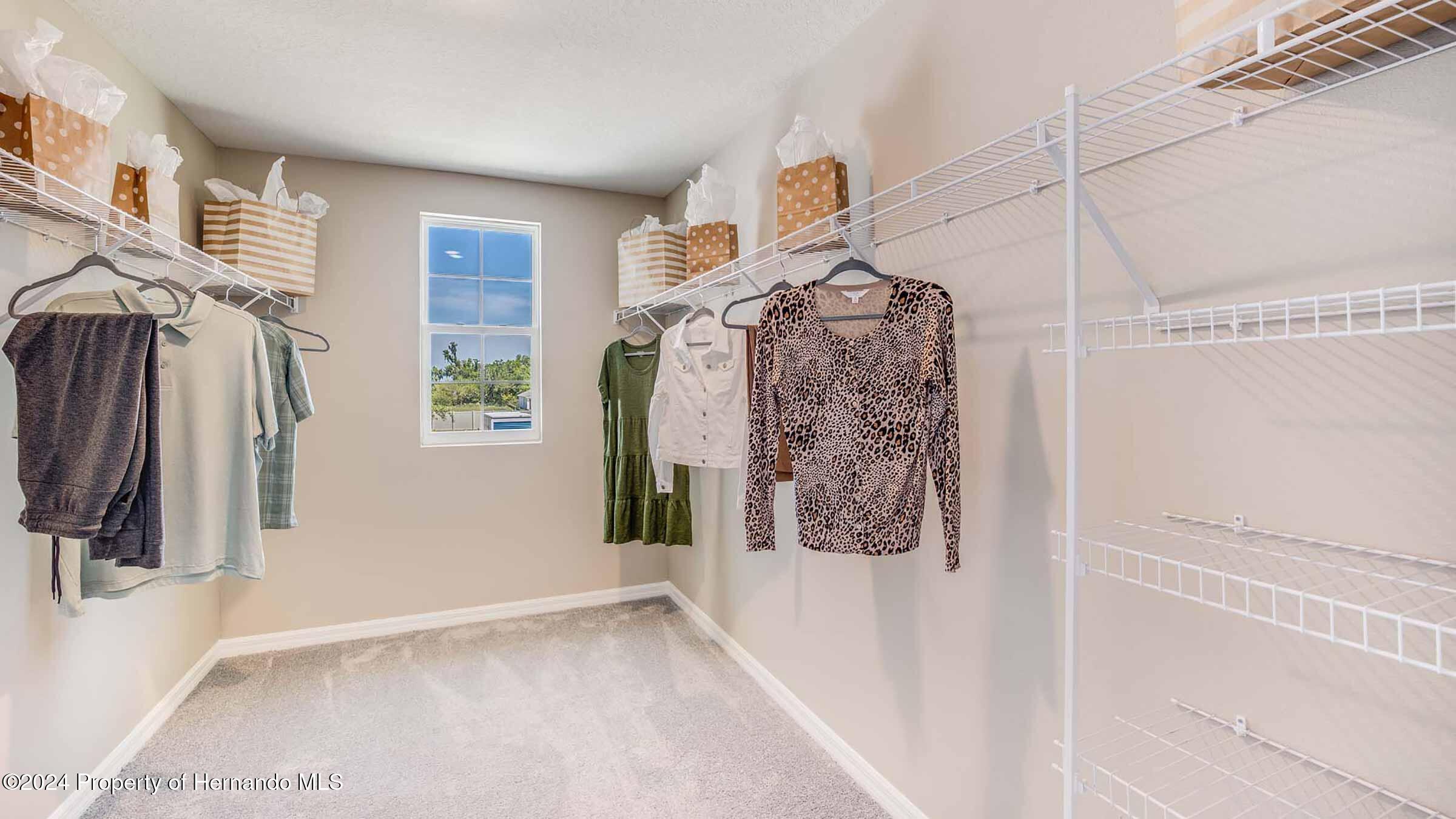 30863 Wild Juniper Court, Brooksville, Florida image 10