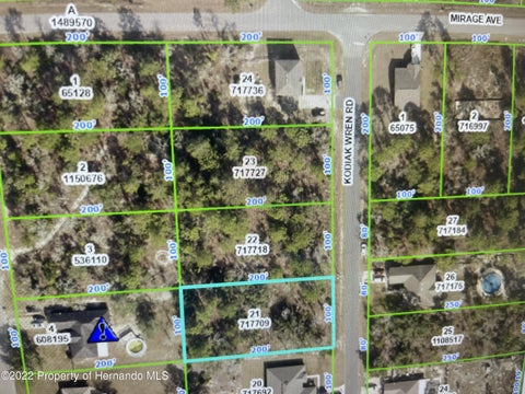 Vacant Land For Sale - Kodiak Wren Road<br/> Brooksville, FL 34614