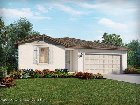 Homes For Sale - 31457 Malbec Drive<br/> Hernando County, Brooksville, FL 34602