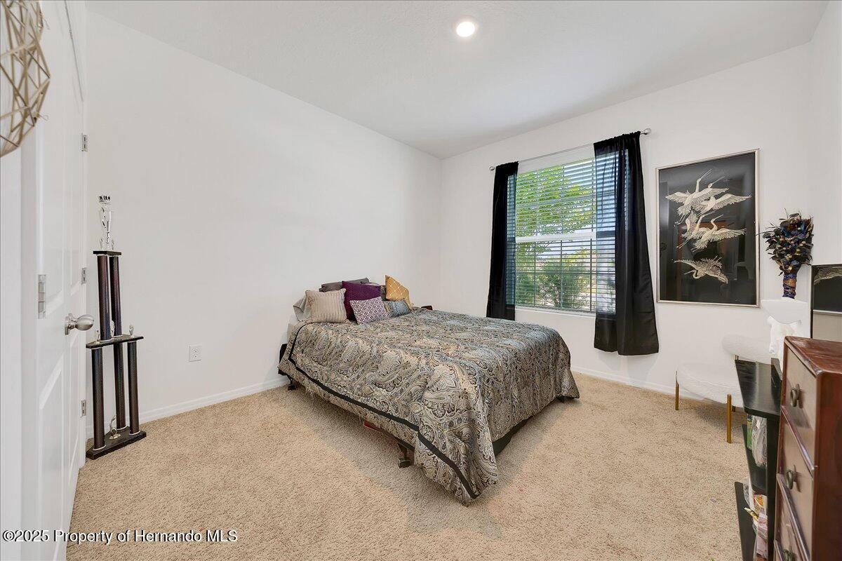 13454 Golden Lime Avenue, Spring Hill, Florida image 8