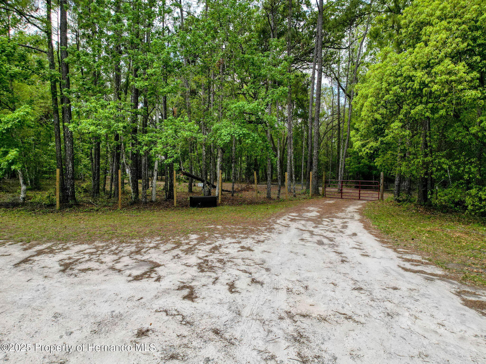 18308 Valor Path, Brooksville, Florida image 20