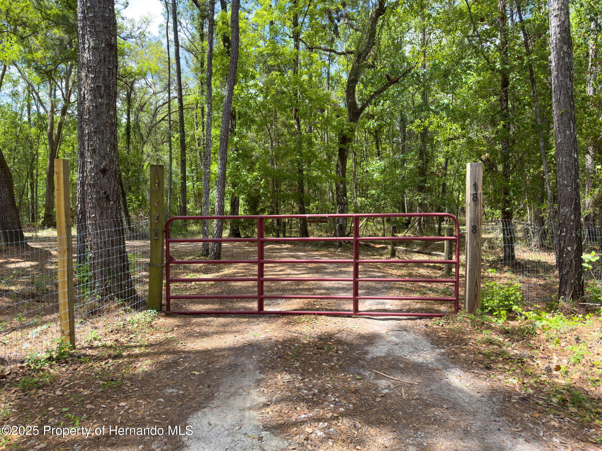 18308 Valor Path, Brooksville, Florida image 19