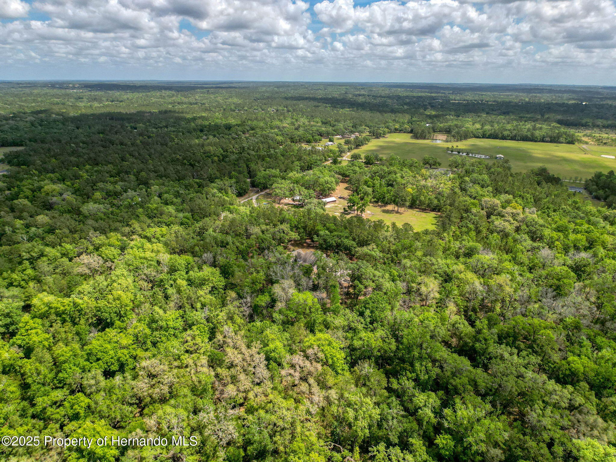 18308 Valor Path, Brooksville, Florida image 35