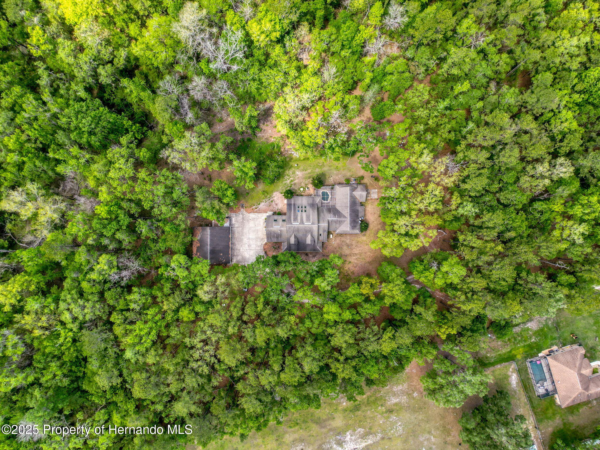 18308 Valor Path, Brooksville, Florida image 30