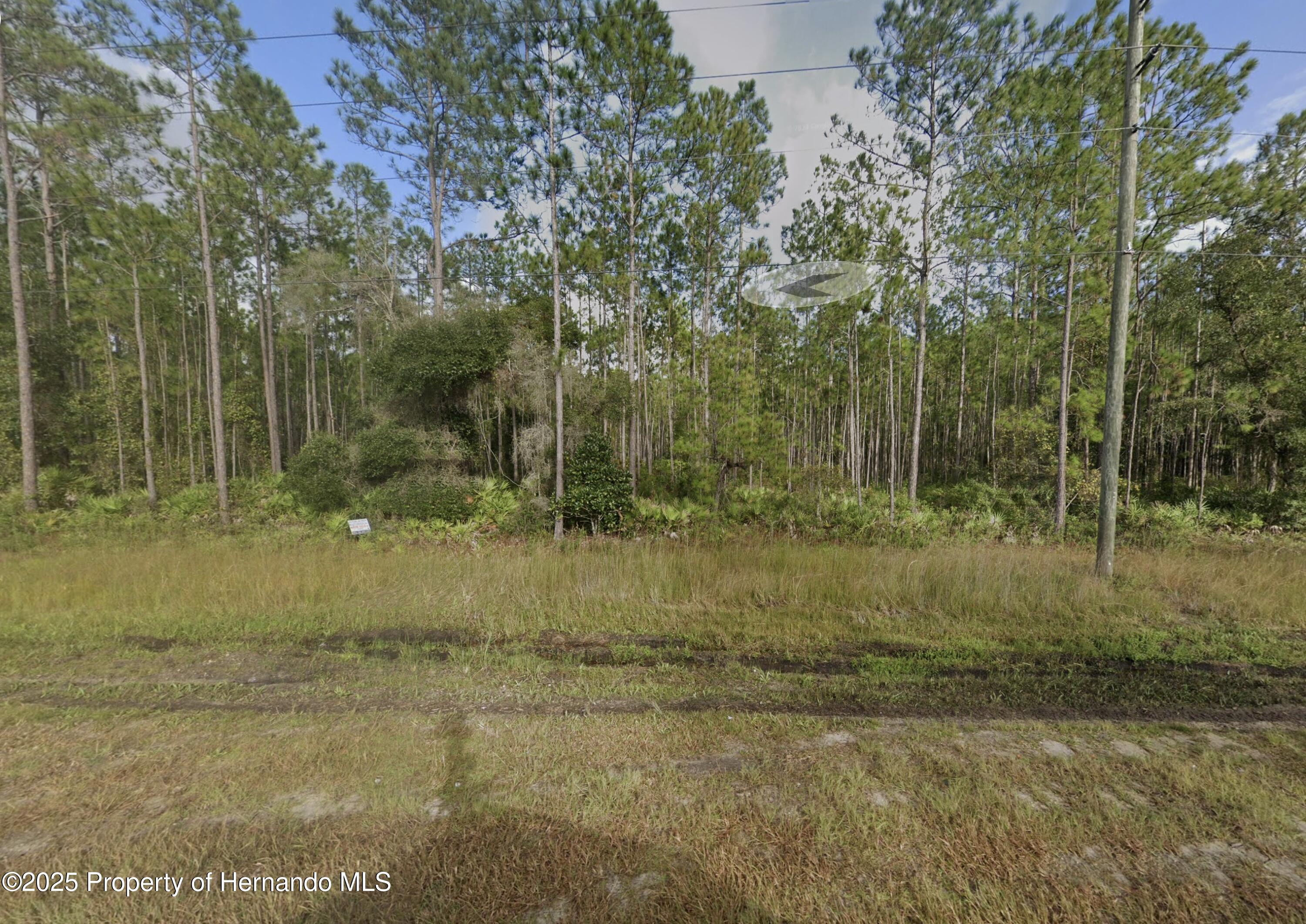 County Road 315, Interlachen, Florida image 1