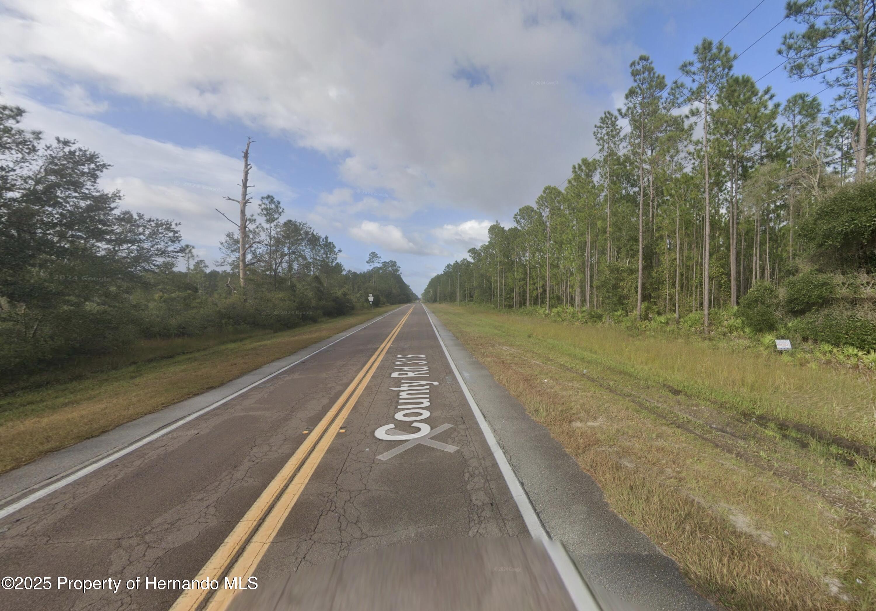 County Road 315, Interlachen, Florida image 2