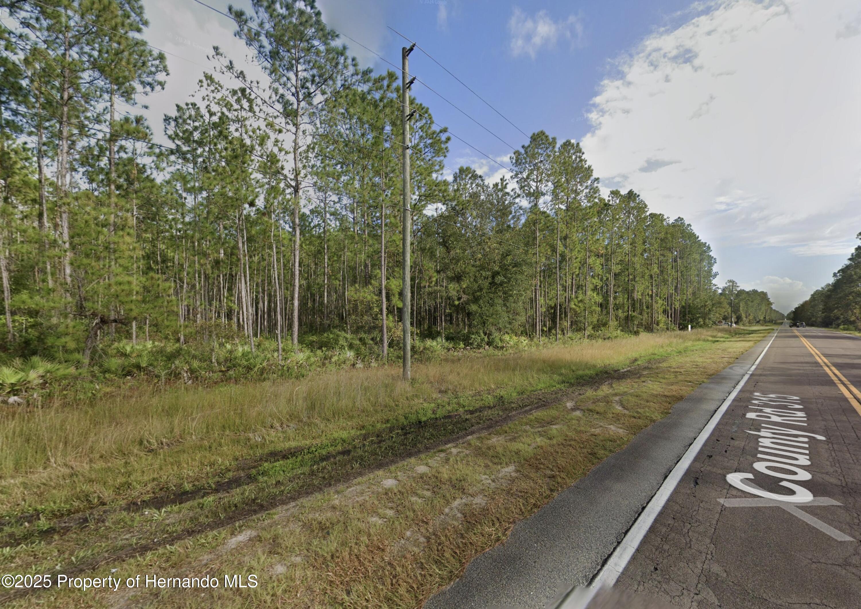 County Road 315, Interlachen, Florida image 3