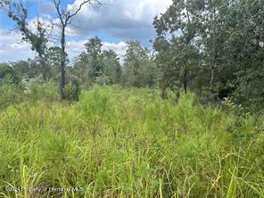 13035 House Finch Road, Brooksville, Florida image 4