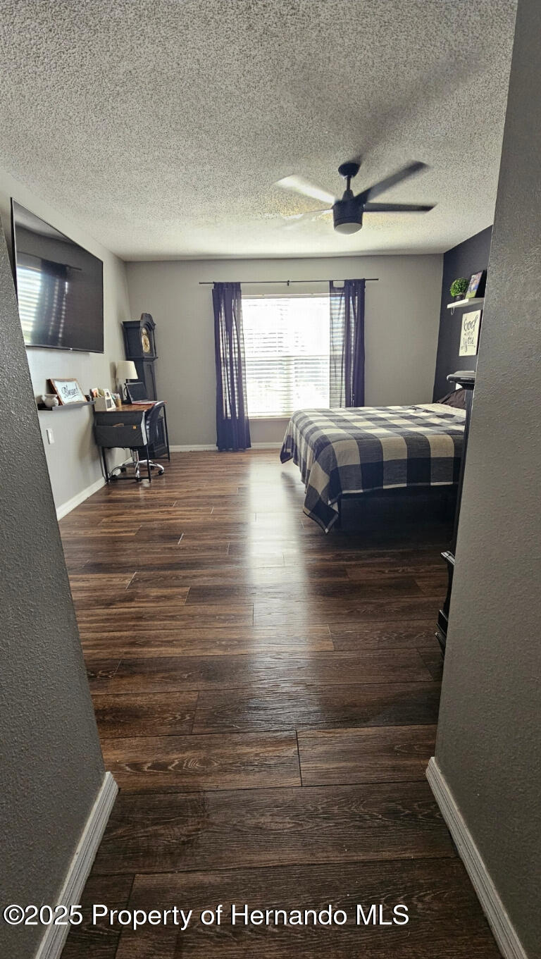 8295 Begonia Street, Spring Hill, Florida image 6