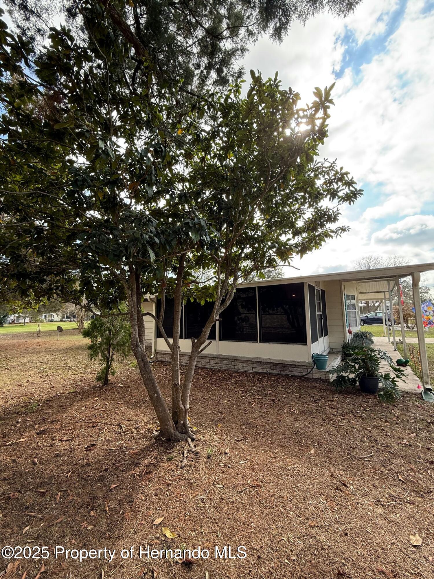 12062 Formosa Street, Brooksville, Florida image 34