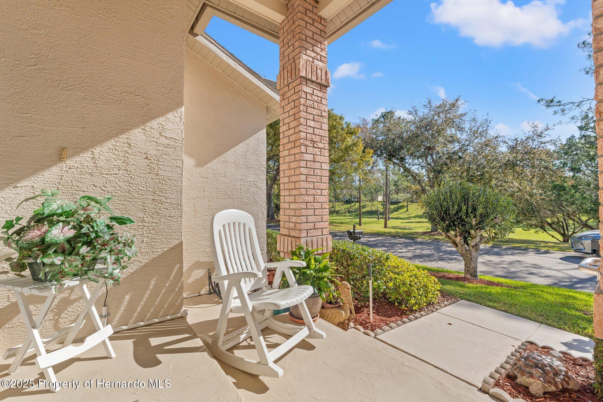 2069 Springmeadow Drive, Spring Hill, Florida image 3