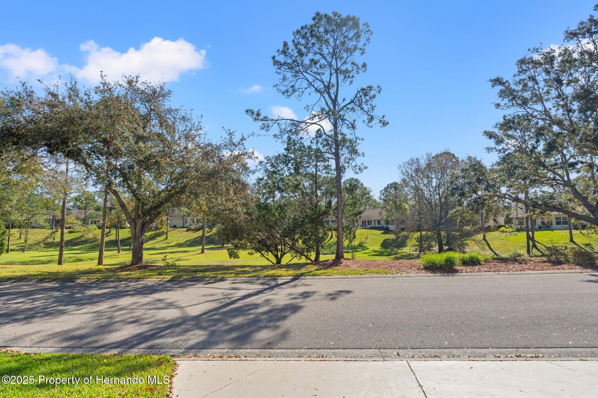 2069 Springmeadow Drive, Spring Hill, Florida image 2