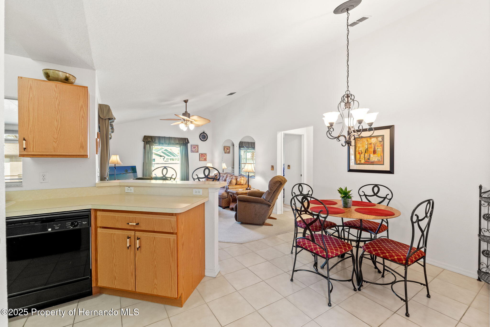 1368 Altoona Avenue, Spring Hill, Florida image 13