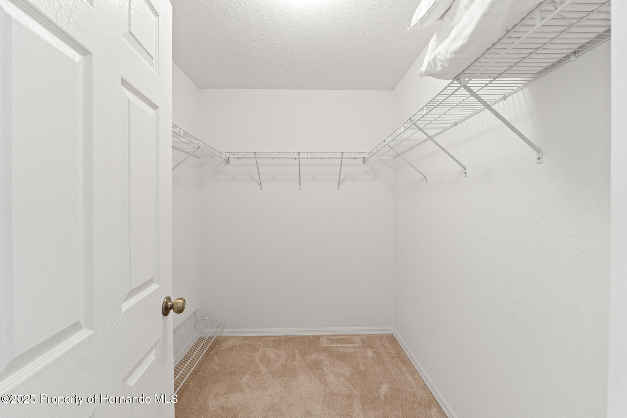 1368 Altoona Avenue, Spring Hill, Florida image 19