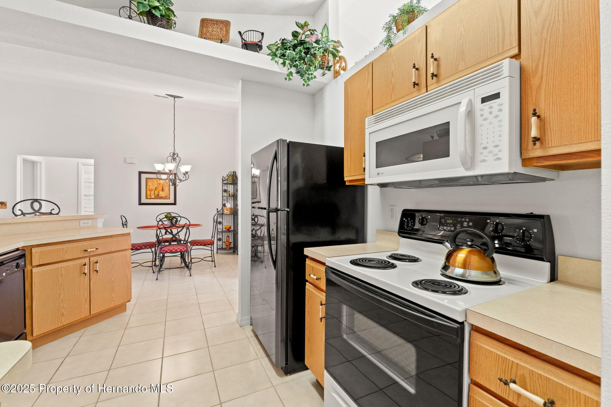 1368 Altoona Avenue, Spring Hill, Florida image 11