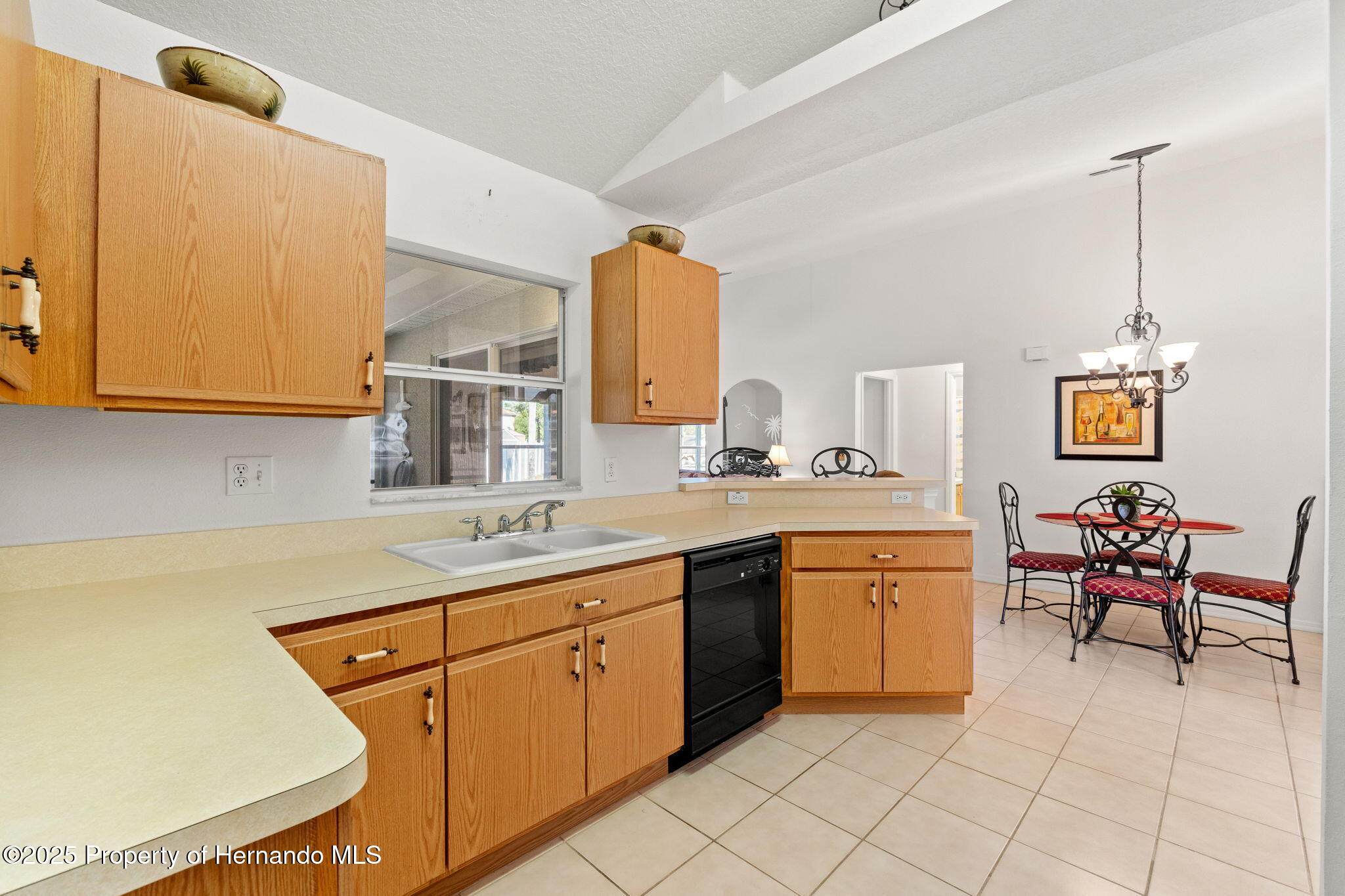 1368 Altoona Avenue, Spring Hill, Florida image 10